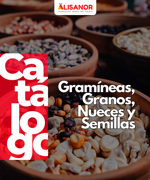 Catálogo 2